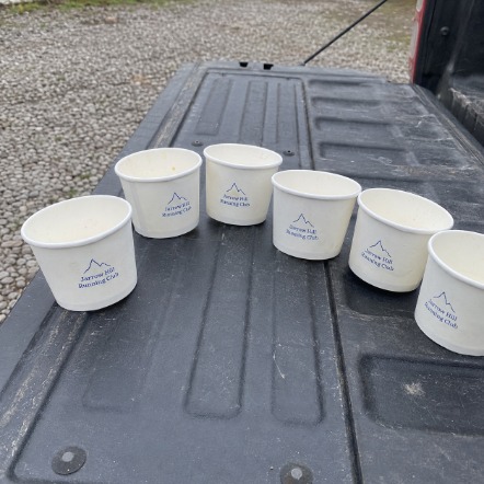 Promotional custom ice cream cups with company logo